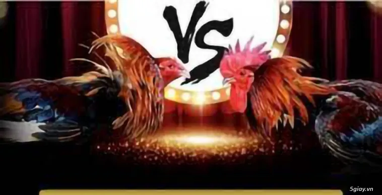 Đá Gà TT128 Đấu Trường Đỉnh Cao Cho Kê Thủ Chuyên Nghiệp