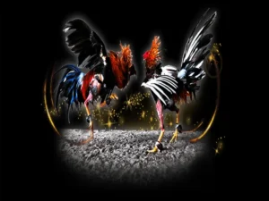 Cách Chơi Đá Gà Sabong Tại TT128 Thống Trị Đấu Trường Live