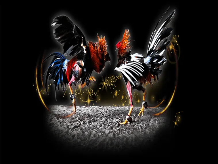 Cách Chơi Đá Gà Sabong Tại TT128 Thống Trị Đấu Trường Live