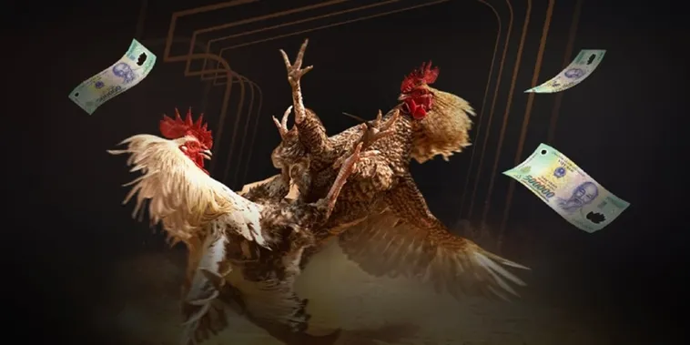 Đá Gà TT128 Đấu Trường Đỉnh Cao Cho Kê Thủ Chuyên Nghiệp