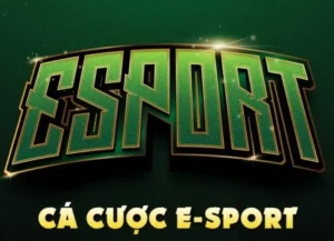 Làm Chủ Đấu Trường Cách Chơi Thể Thao Điện Tử Tại TT128